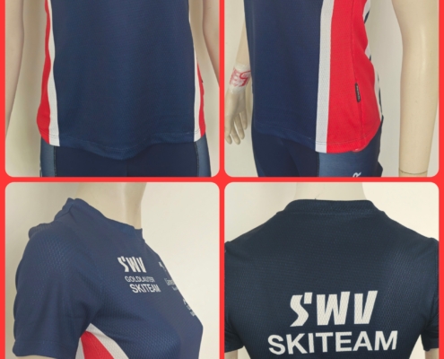 1002_SLIM-FUNKTIONS-T-SHIRT-SWV-GOLDLAUTER_