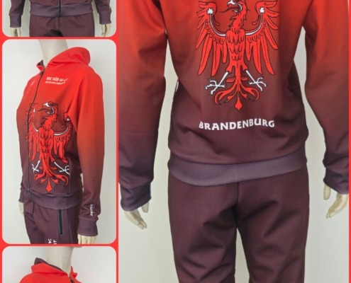 622_kapuzenjacke + 415_trainigshose_bsc_sued_____